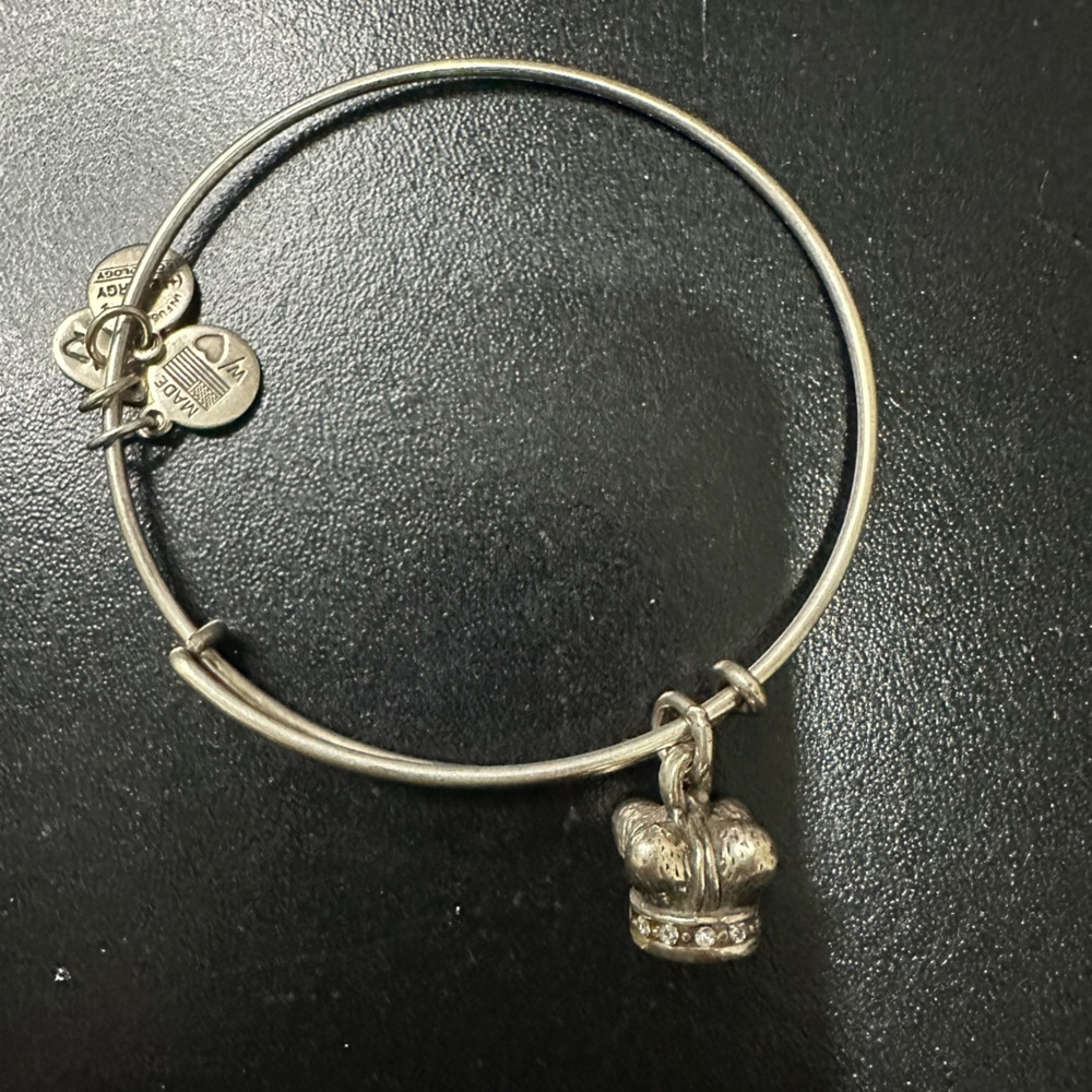 Alex and Ani Crown silver tone bangle EUC